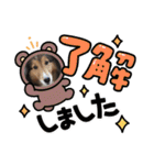息子の犬（個別スタンプ：10）