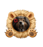 息子の犬（個別スタンプ：13）