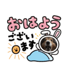 息子の犬（個別スタンプ：14）