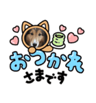 息子の犬（個別スタンプ：15）