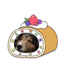 息子の犬（個別スタンプ：17）