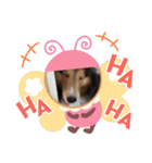 息子の犬（個別スタンプ：18）