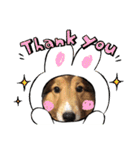 息子の犬（個別スタンプ：27）