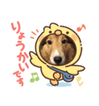 息子の犬（個別スタンプ：28）