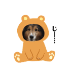 息子の犬（個別スタンプ：32）