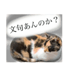 エントハナ -2nd-（個別スタンプ：16）