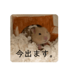 おいらラテ（個別スタンプ：7）
