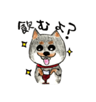 黒柴のあーちゃん（個別スタンプ：5）
