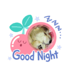 楽しい日常スタンプ♡（個別スタンプ：3）