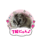 楽しい日常スタンプ♡（個別スタンプ：5）