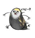 ぽんこすたんぷ(コザクラインコ)（個別スタンプ：17）