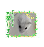 くるみたんだよぉ！（個別スタンプ：7）
