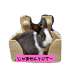 近藤家のすたんぷ（個別スタンプ：15）