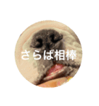 アイチャン2（個別スタンプ：7）