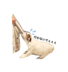 アイチャン2（個別スタンプ：9）