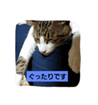 家の子スタンプろくっ（個別スタンプ：3）