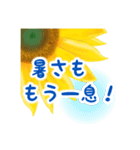 夏 向日葵に元気をもらおう！（個別スタンプ：14）