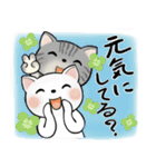 可愛い猫さん達のスタンプ♡日常編（個別スタンプ：21）