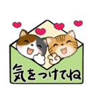 可愛い猫さん達のスタンプ♡日常編（個別スタンプ：38）