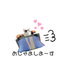 KUNIYA cats（個別スタンプ：17）