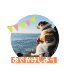 保護犬・春ちゃんの毎日 その1（個別スタンプ：18）