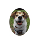 保護犬・春ちゃんの毎日 その1（個別スタンプ：20）
