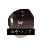 愛されパインの日常2（個別スタンプ：5）