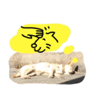 愛されパインの日常2（個別スタンプ：6）