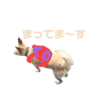 愛されパインの日常2（個別スタンプ：15）