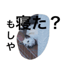 愛されパインの日常2（個別スタンプ：16）