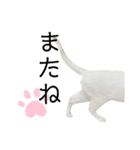 むぎとほっぷスタンプ（個別スタンプ：4）