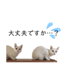 むぎとほっぷスタンプ（個別スタンプ：14）