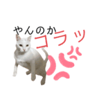 むぎとほっぷスタンプ（個別スタンプ：18）