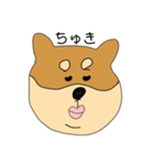 しば犬のたろう（個別スタンプ：4）