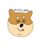 しば犬のたろう（個別スタンプ：7）