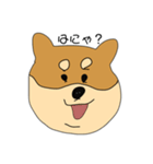 しば犬のたろう（個別スタンプ：9）