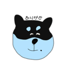 しば犬のたろう（個別スタンプ：16）
