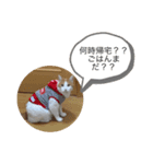 ふみよのこはゆみこ（個別スタンプ：1）