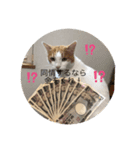 ふみよのこはゆみこ（個別スタンプ：6）