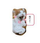 ふみよのこはゆみこ（個別スタンプ：8）