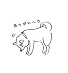 犬だよなぁ？（個別スタンプ：15）