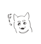 犬だよなぁ？（個別スタンプ：17）