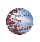 色々なお花のスタンプです。（個別スタンプ：1）