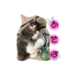 スタンプのぶ（個別スタンプ：4）