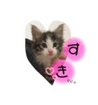 スタンプのぶ（個別スタンプ：7）