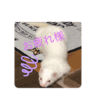 4にょろの仲間たち〜日常編〜（個別スタンプ：5）