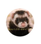 4にょろの仲間たち〜日常編〜（個別スタンプ：8）