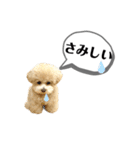 トイプードル モコスタンプ2（個別スタンプ：20）