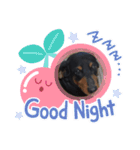 ちいてん+びっちゃん（個別スタンプ：2）