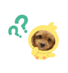 ちいてん+びっちゃん（個別スタンプ：12）
